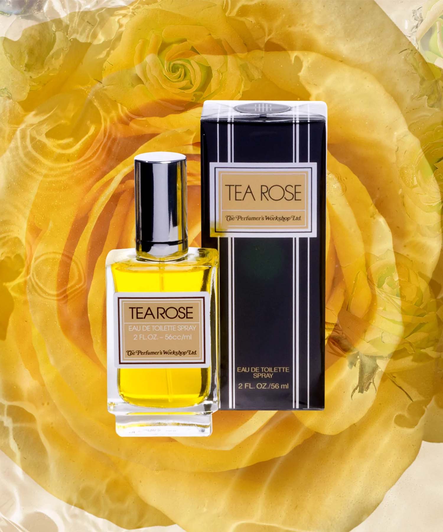 Tea Rose